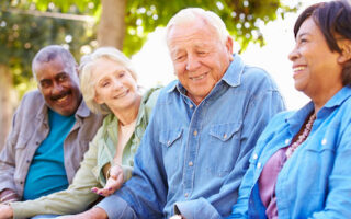 Mind – Body – Spirit: Seeking Wellness in Older Adults